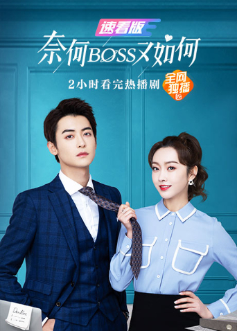 奈何BOSS又如何速看版