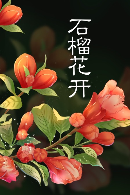 石榴花开