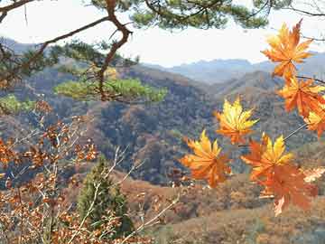 《黑龙江纪事》：从文献细节中找到历史真相