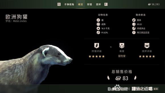 狩猎之道五星欧洲狗獾怎么捕猎,狩猎之道五星欧洲狗獾怎么捕猎,五星欧洲狗獾捕猎方法介绍,1,相关,么,第2张