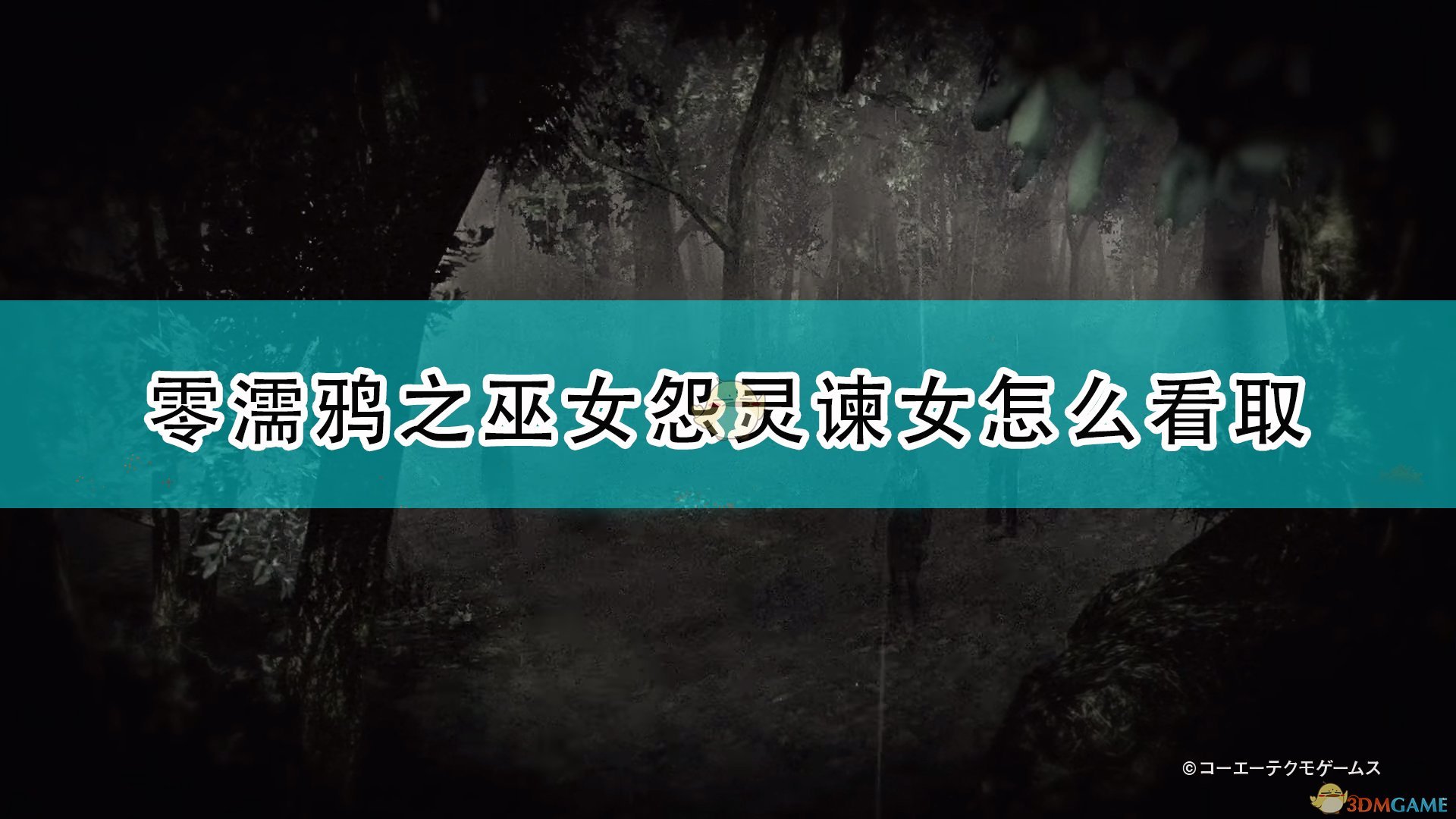 《零：濡鸦之巫女》谏女看取方法推荐,《零：濡鸦之巫女》谏女看取方法推荐,谏女看取方法推荐,相关,么,2,第1张