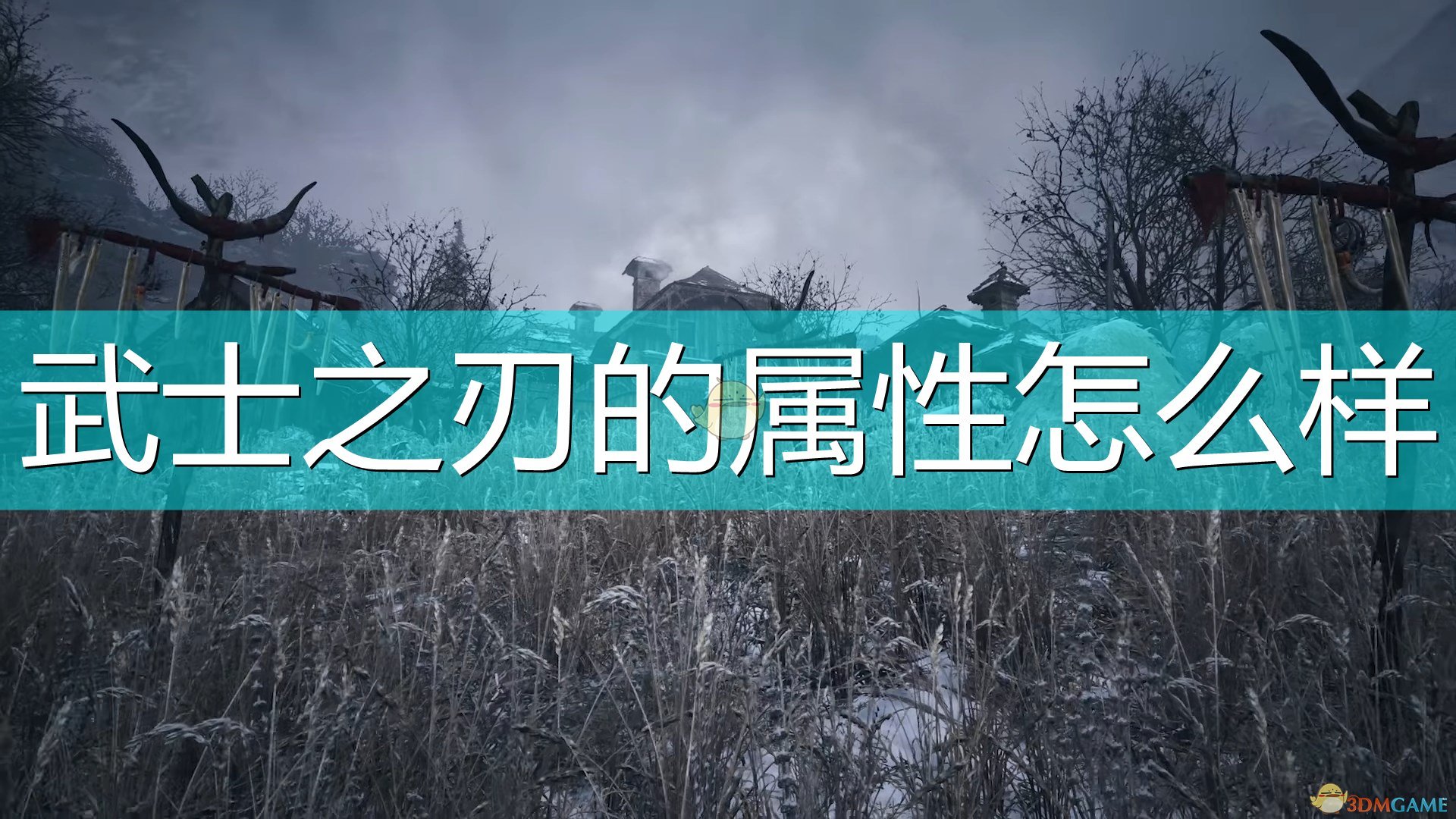 《生化危机8：村庄》豪华版武器属性一览