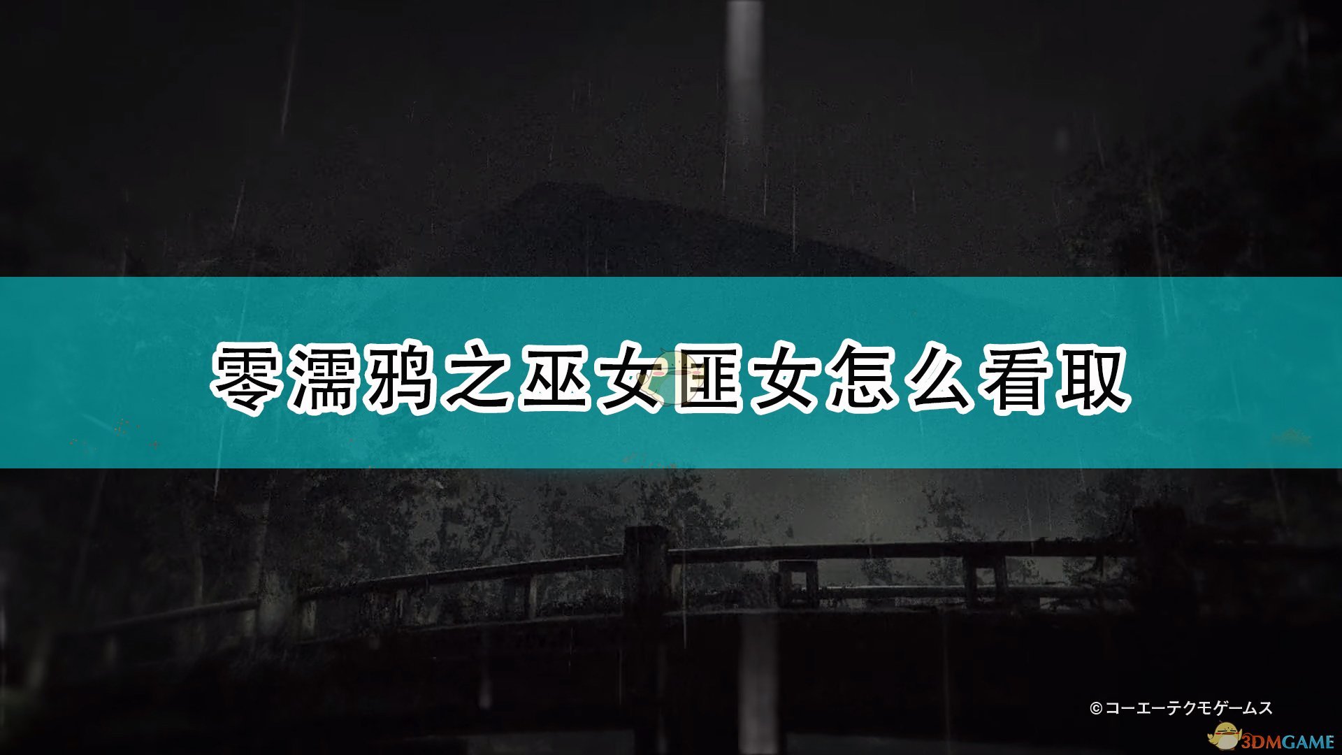 《零：濡鸦之巫女》匪女看取方法推荐,《零：濡鸦之巫女》匪女看取方法推荐,匪女看取方法推荐,相关,么,游戏,第1张